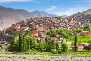 Marrakesh: Imlil-dagtour - Verken het Atlasgebergte