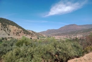 Marrakesh: Ourika valley, Berber Villages, & Atlas Mountains