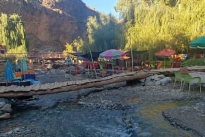 Ausflug Ourika-Tal, Berberdörfer und Atlasgebirge