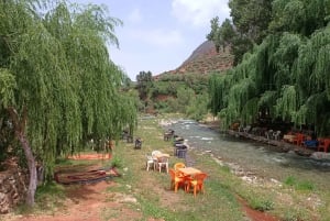 Excursion vallée de l'Ourika, villages berbères et montagnes de l'Atlas