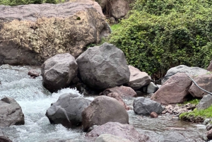 Марракеш: однодневная поездка в долину Урика с гидом и обедом.