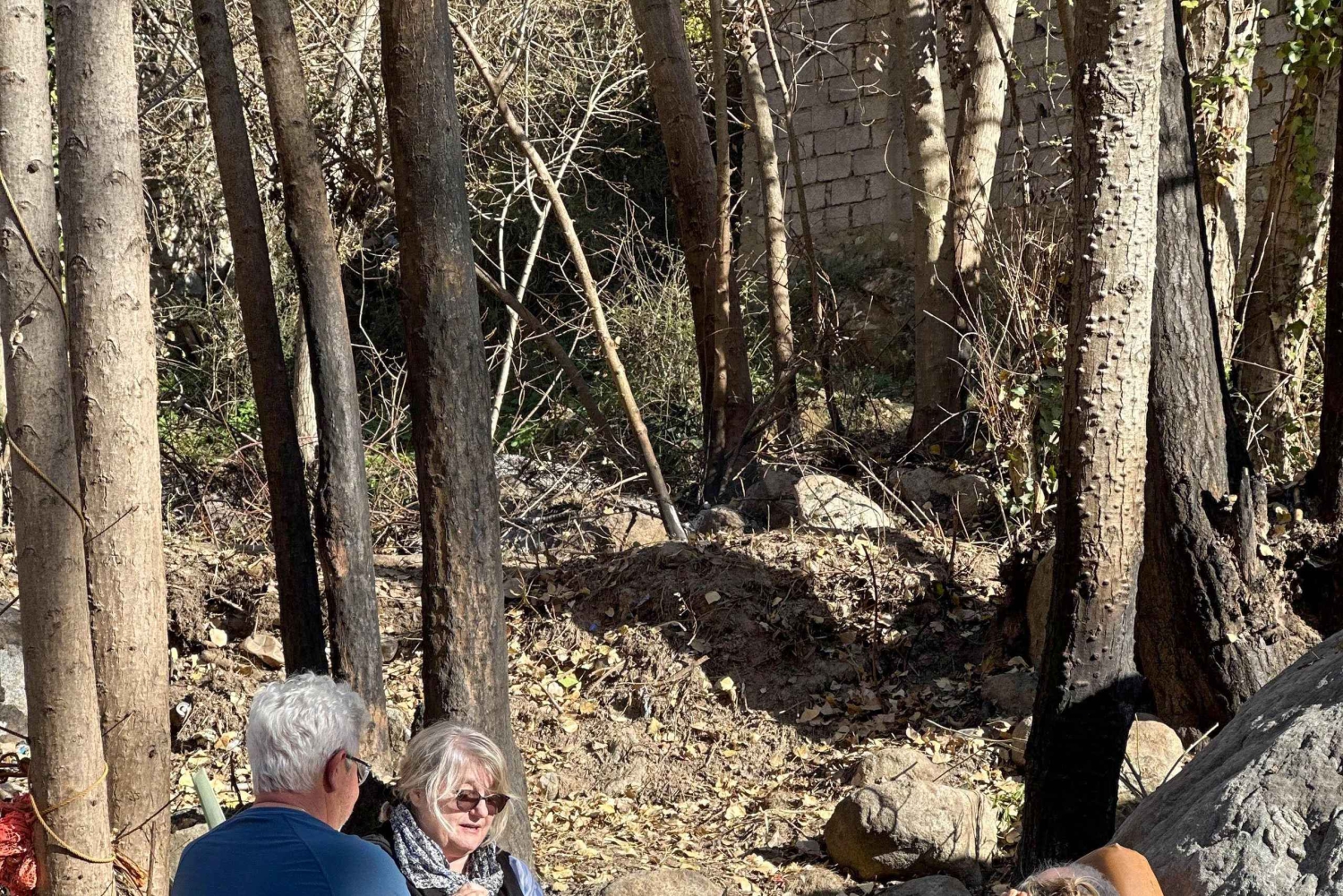 Marrakech: cascadas de Ourika, montañas del Atlas, guía y almuerzo