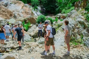 Marrakesh: Ourika Waterfalls, Atlas Mountains, Guide + Lunch