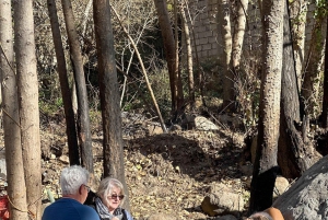 Marrakech: cascadas de Ourika, montañas del Atlas, guía y almuerzo