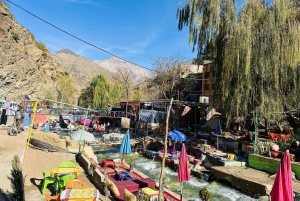 Marrakech: cascadas de Ourika, montañas del Atlas, guía y almuerzo