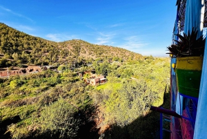 Marrakech: cascadas de Ourika, montañas del Atlas, guía y almuerzo