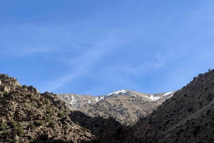 Marrakech: cascadas de Ourika, montañas del Atlas, guía y almuerzo