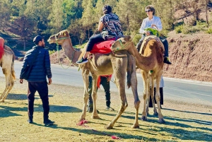 Marrakech: cascadas de Ourika, montañas del Atlas, guía y almuerzo