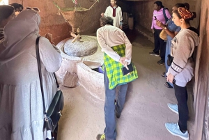 Marrakech: cascadas de Ourika, montañas del Atlas, guía y almuerzo