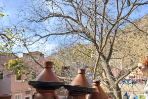 Marrakech: cascadas de Ourika, montañas del Atlas, guía y almuerzo