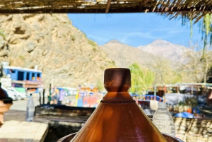 Marrakech: cascadas de Ourika, montañas del Atlas, guía y almuerzo