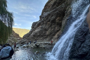 Marrakech: cascadas de Ourika, montañas del Atlas, guía y almuerzo