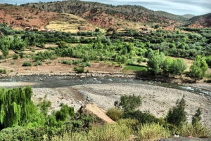 Marrakech: cascadas de Ourika, montañas del Atlas, guía y almuerzo