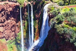 Marrakesh: Escursione alle cascate di Ouzoud con opzione escursione e barca