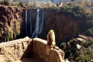 Marrakesh: Escursione alle cascate di Ouzoud con opzione escursione e barca