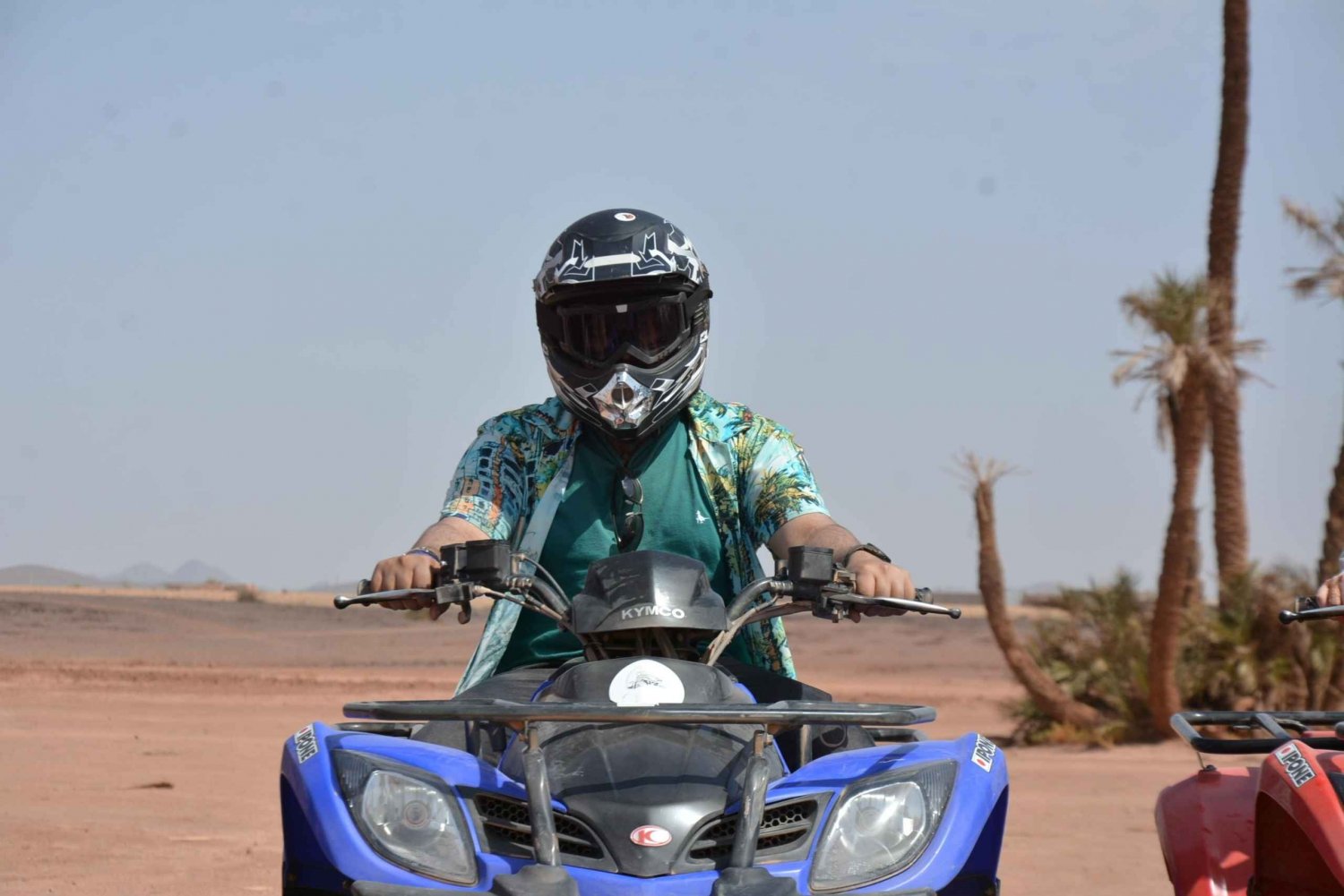 Marrakesh: Palm Oasis Sunset Quad Bike Tour with Tea