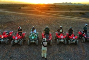 Marrakesh Palmeraie: Quadbike-eventyr ved solnedgang