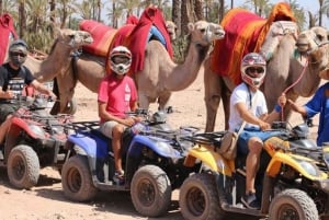 From Marrakech: Half-Day Desert Quad Trip with Camel Ride