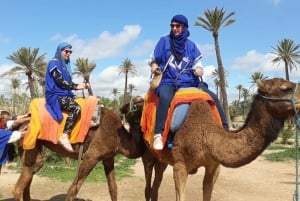 From Marrakech: Half-Day Desert Quad Trip with Camel Ride