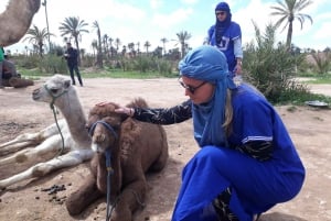 From Marrakech: Half-Day Desert Quad Trip with Camel Ride