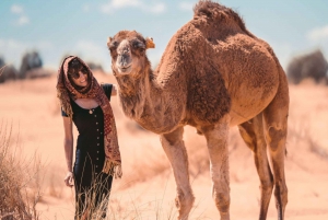 Marrakesh: Agafay Desert Sunset trip with Diner & Camel ride