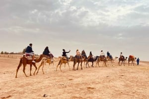 Marrakech: el MEJOR paseo en camello por el desierto de Agafay y cena con espectáculo 2025