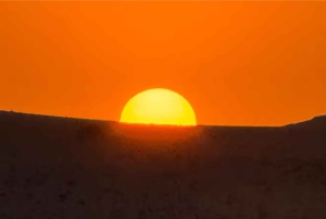 Marrakech: el MEJOR paseo en camello por el desierto de Agafay y cena con espectáculo 2025