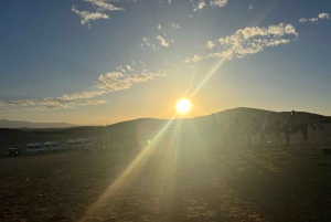 Marrakech: el MEJOR paseo en camello por el desierto de Agafay y cena con espectáculo 2025