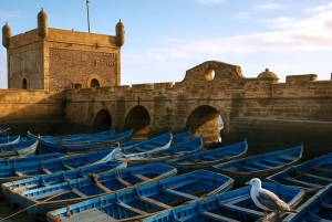 Marrakesch nach Essaouira: Tagestour in kleiner Gruppe & Genossenschaften