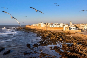 Marrakesch nach Essaouira: Tagestour in kleiner Gruppe & Genossenschaften