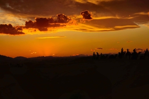 Marrakesh: Agafay-ørkenopplevelse med kamel, middag og show