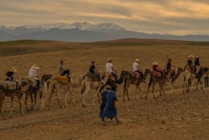 Marrakesh: Agafay-ørkenopplevelse med kamel, middag og show