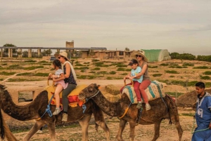 Marrakesh: Agafay-ørkenopplevelse med kamel, middag og show
