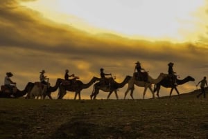 Marrakesh: Agafay-ørkenopplevelse med kamel, middag og show