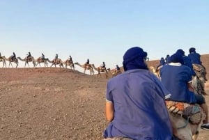 Marrakesh: Agafay-ørkenopplevelse med kamel, middag og show