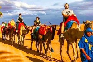 Marrakesh: Agafay-ørkenopplevelse med kamel, middag og show