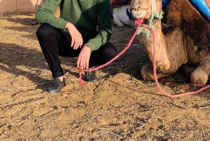 Marrakesh: Agafay-ørkenopplevelse med kamel, middag og show