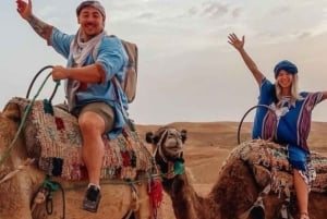 Marrakesh: Agafay-ørkenopplevelse med kamel, middag og show