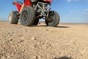 Marrakesh: Agafay-ørkenopplevelse med kamel, middag og show