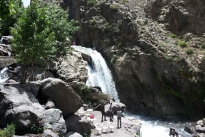 Marrakech: dagstur til Essaouira «Én dag, to verdener»❤️