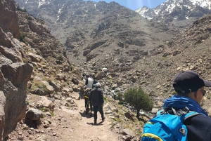 Marrakech: dagstur til Essaouira «Én dag, to verdener»❤️