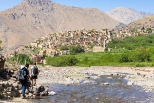 Marrakech: dagstur til Essaouira «Én dag, to verdener»❤️