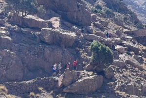 Marrakech: dagstur til Essaouira «Én dag, to verdener»❤️