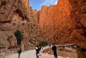 From Marrakech , Ouarzazate: 3-Day Desert Tour & Camel & 4x4