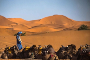 Merzouga: Safari di 3 giorni con cibo, cammello, 4x4, campeggio di lusso