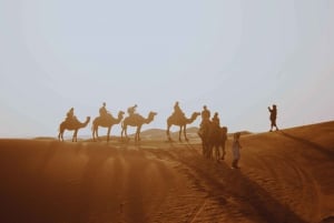 Merzouga Desert: 3-Day Desert Tour from Marrakech