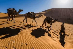 Deserto di Merzouga: tour di 3 giorni nel deserto da Marrakech