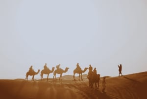 Deserto di Merzouga: tour di 3 giorni nel deserto da Marrakech