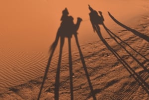 Merzouga Desert: 3-Day Desert Tour from Marrakech