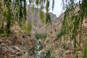 Marockansk matlagningskurs i en by i bergen med upphämtning